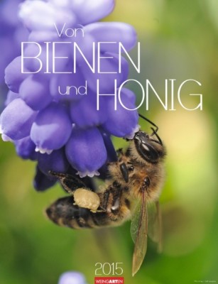 Von Bienen und Honig