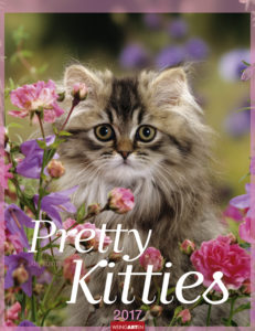 Pretty Kitties