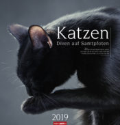 Katzen Archive - Athesia Kalenderverlag GmbH